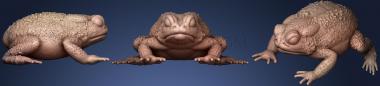 3D model Resting Toad (STL)